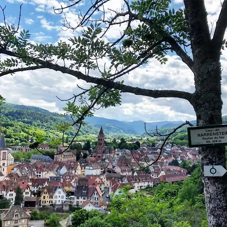 Holiday home Maison Cosy Avec Terrasse Au Coeur De *